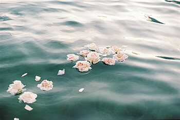 [Translate to Francais:] 